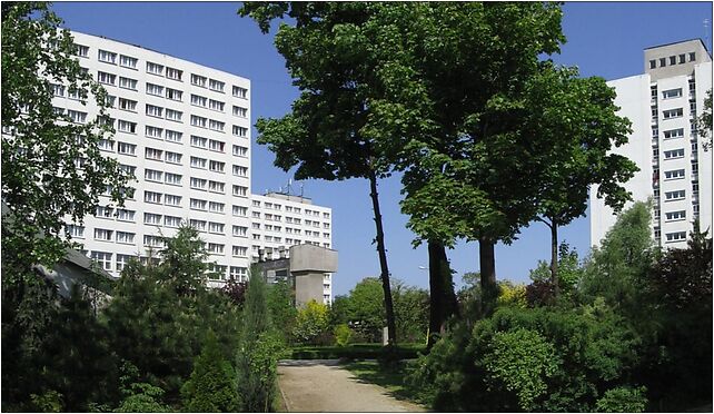 Wittigowo, Wittiga Edwarda 8, Wrocław 51-628 - Zdjęcia