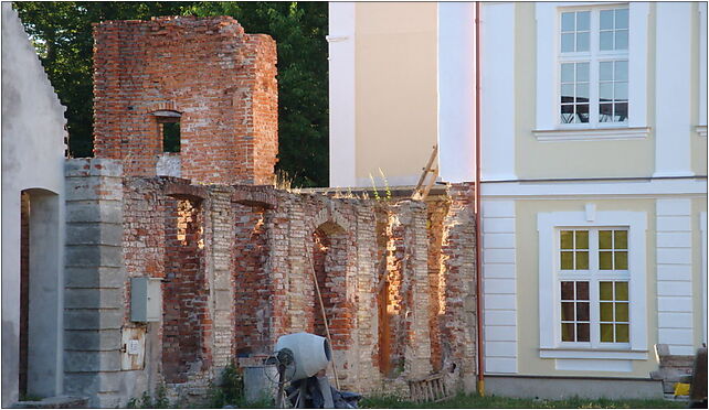 Wolinia31, Wolinia, Wolinia 76-220 - Zdjęcia