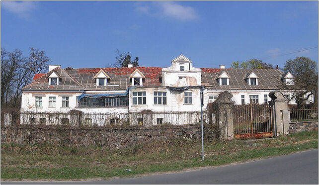 Wronczyn pałac, Wronczyn 12, Wronczyn 62-010 - Zdjęcia