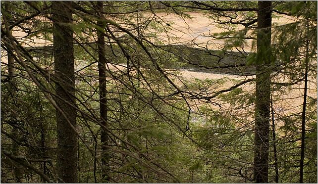 Wyzni Toporowy Staw, Brzeziny, Zakopane 34-500 - Zdjęcia