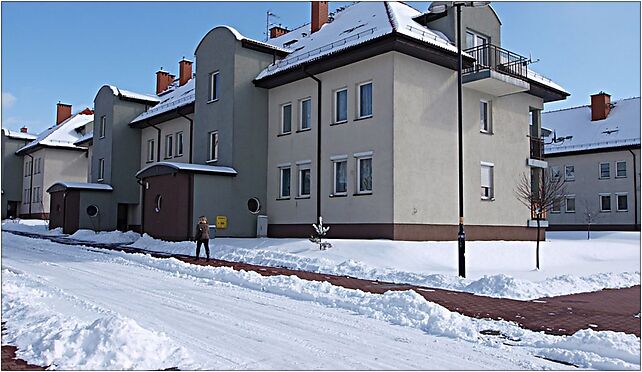 Zabrze Hauptmana 7-9 15 03 2010 P3158281, Hauptmana Andrzeja, ks. 6 41-806 - Zdjęcia