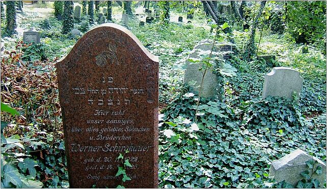 Zabrze Jewish Cemetery children's graves, Cmentarna 15, Zabrze 41-800 - Zdjęcia