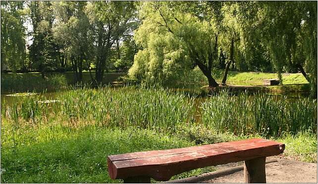 Zabrze - Ogród botaniczny 02, Marszałka Józefa Piłsudskiego 41-800 - Zdjęcia