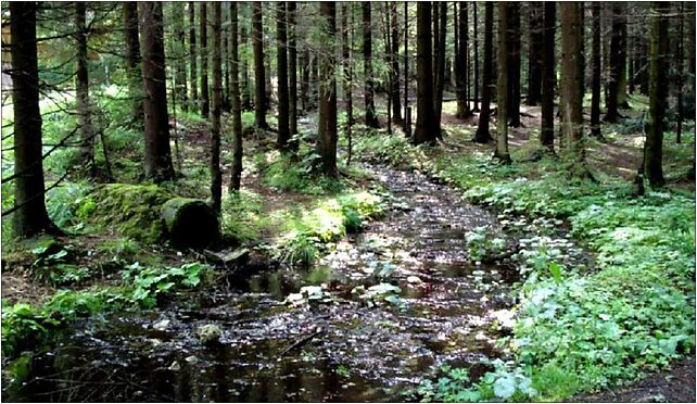 Zakopane, Droga pod Reglami, Podhale. - Pod Reglami Tourist Route, Zakopane 34-500 - Zdjęcia