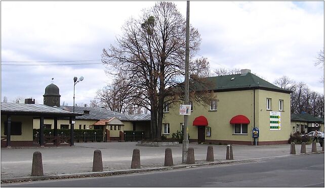 ZalesieWroc-MorskieOko, Chopina Fryderyka, Wrocław 51-609 - Zdjęcia