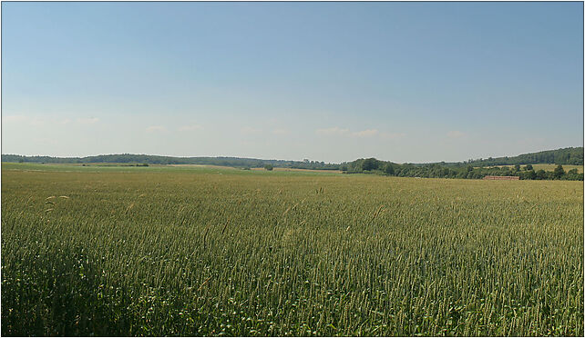 Zdrada - Farmland 01, Zdrada, Zdrada 84-100 - Zdjęcia