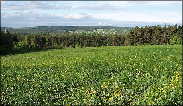 Zwierzyniec - Piaskowa Gora, Leśniczówka Bukowa Góra - Zdjęcia